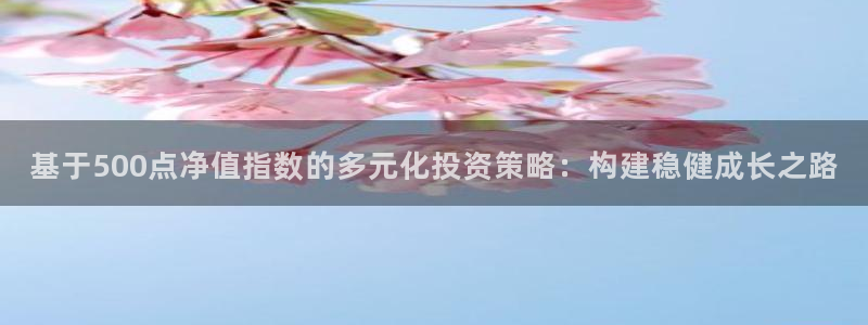 恩佐娱乐平台总代理：基于500点净值指数的多元化投资策略：构建稳健成长之路