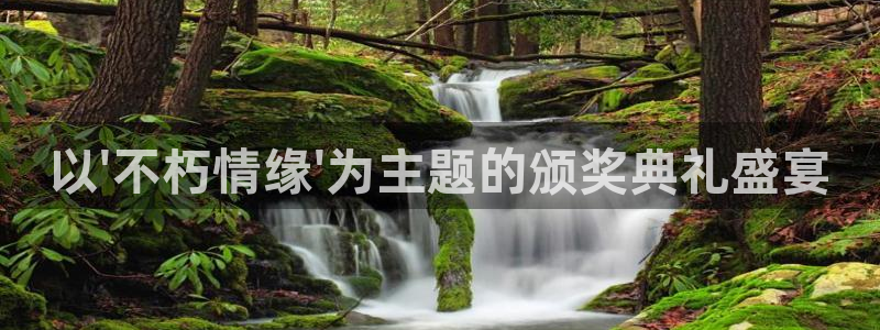 恩佐娱乐体育官网：以\'不朽情缘\'为主题的颁奖典礼盛宴
